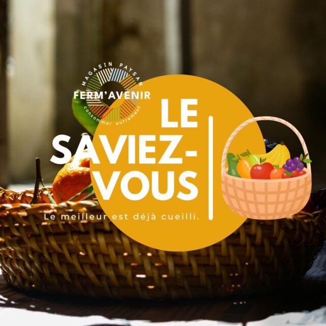 🍓🍑 𝐍𝐎𝐔𝐕𝐄𝐀𝐔𝐓𝐄́ 𝐂𝐇𝐄𝐙 @ferm_avenir ! 🍇🍏
🌞 𝐄𝐧𝐯𝐢𝐞 𝐝'𝐮𝐧 𝐩𝐚𝐧𝐢𝐞𝐫 𝐝𝐞 𝐟𝐫𝐮𝐢𝐭𝐬 𝐟𝐫𝐚𝐢𝐬, 𝐝𝐞 𝐬𝐚𝐢𝐬𝐨𝐧 𝐞𝐭 𝐩𝐫𝐞̂𝐭 𝐚̀ 𝐨𝐟𝐟𝐫𝐢𝐫 𝐨𝐮 𝐚̀ 𝐩𝐚𝐫𝐭𝐚𝐠𝐞𝐫 ?
Dès à présent, vous pouvez commander votre panier de fruits de saison directement dans votre magasin. Nous sélectionnons pour vous de délicieux fruits de saison et préparons votre panier avec soin.
🎁 Idéal pour un cadeau, 🍽 un repas en famille, 🎉 un événement ou tout simplement pour se faire plaisir 💛 !
📍 Rendez-vous en magasin pour passer votre commande et laissez-nous préparer un panier aussi beau que gourmand !
😋 Ferm'Avenir , le plein de fraîcheur, le plein de saveurs.
#fermavenir #FruitsDeSaison #CircuitCourt #MangerLocal #PanierDeFruits #Fraîcheur #Saveurs #ProduitsLocaux #ConsommerLocal